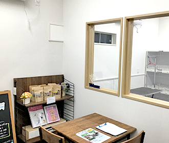 con affetto 写真集03