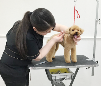 con affetto 写真集04