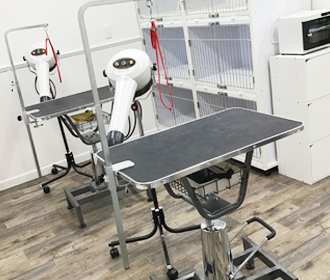 con affetto 写真集06