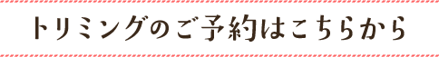 トリミングのご予約はこちらから